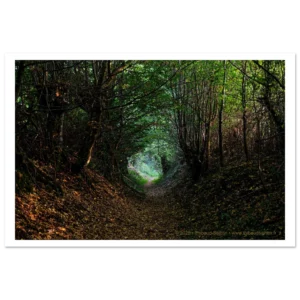 21928224-f600-44ee-a571-50862a347f65