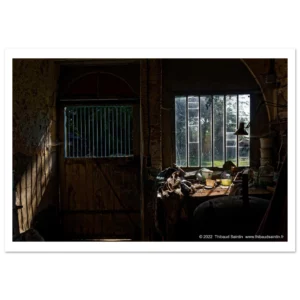 7b0002ef-69cd-401d-9b23-944ab8813270