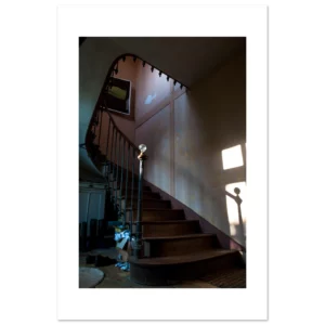 88015aff-0a51-440f-b7f1-3e44cb03327e