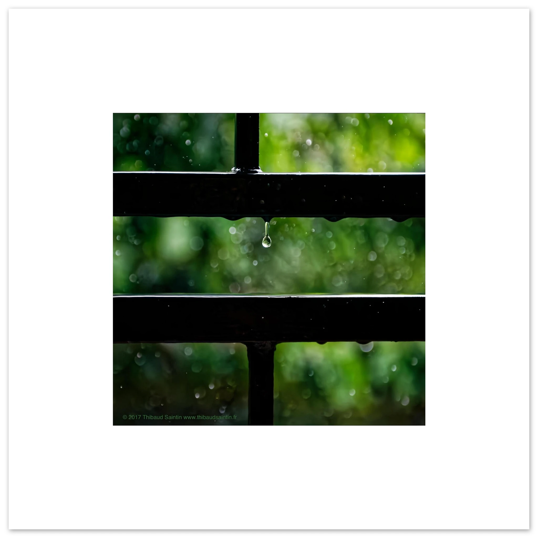 c9702ce8-149a-4fe1-9c1b-b07a71deffc0