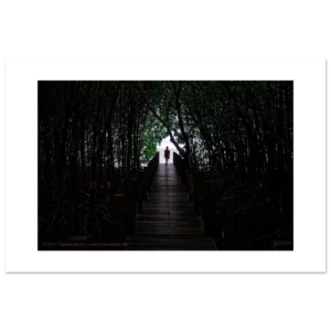 d876a44e-b677-4684-a6e1-4f1bd3a4a220