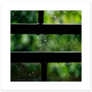 e65b6619-af84-4cc7-86c7-f33265185cc5