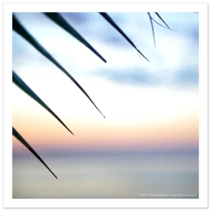 fa76b17a-1543-457e-b915-66afd756cf73